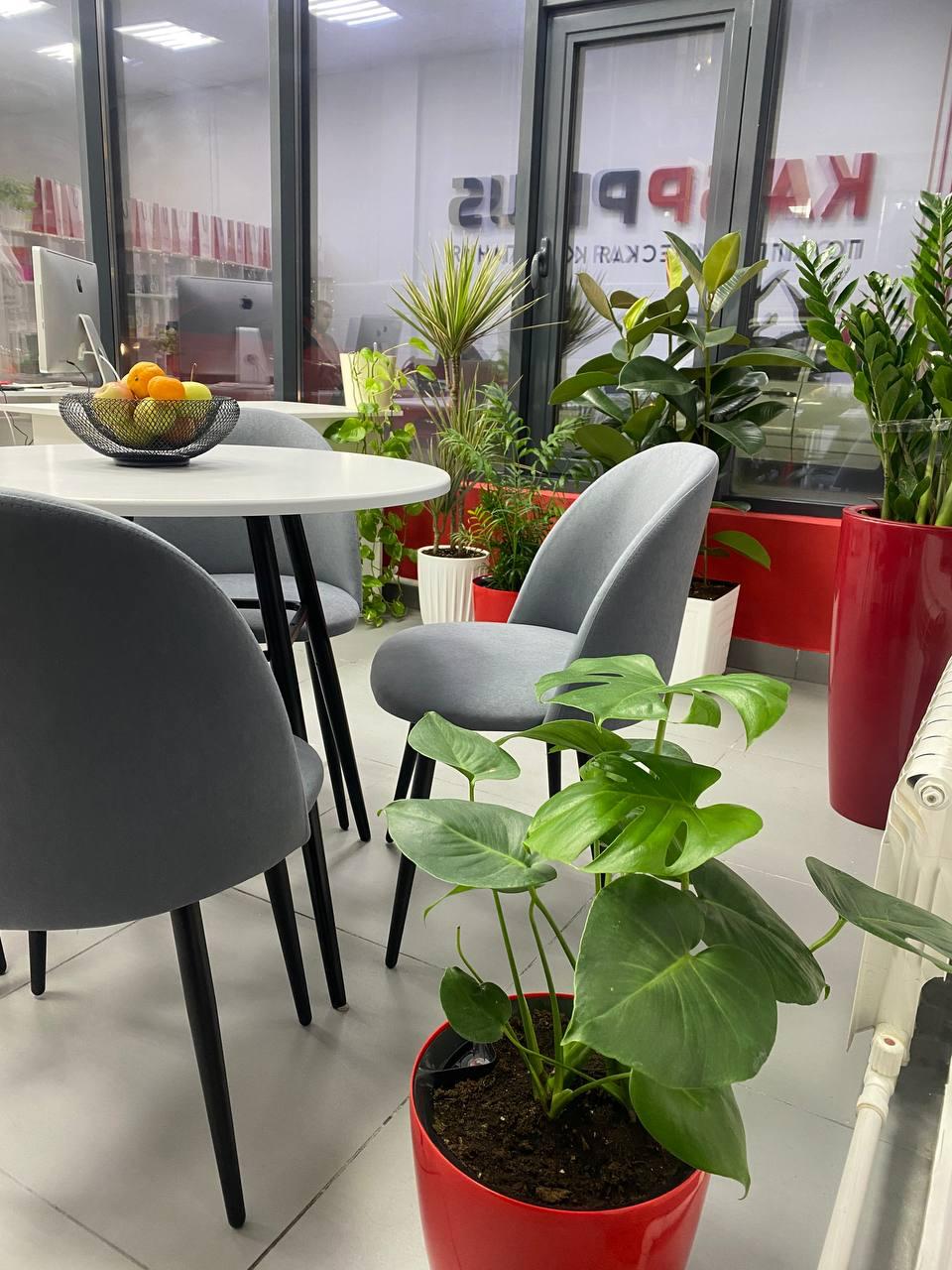 kaspplus-office11